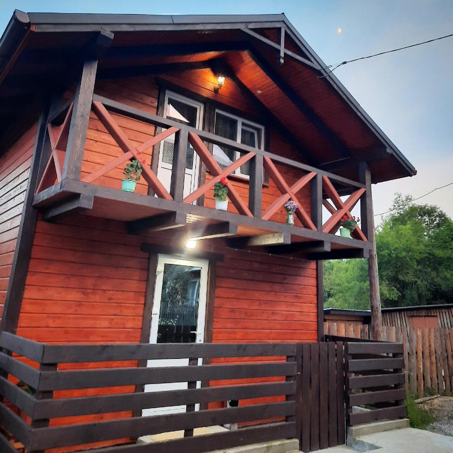 У Мар'Яни Villa Vorohta Exterior foto